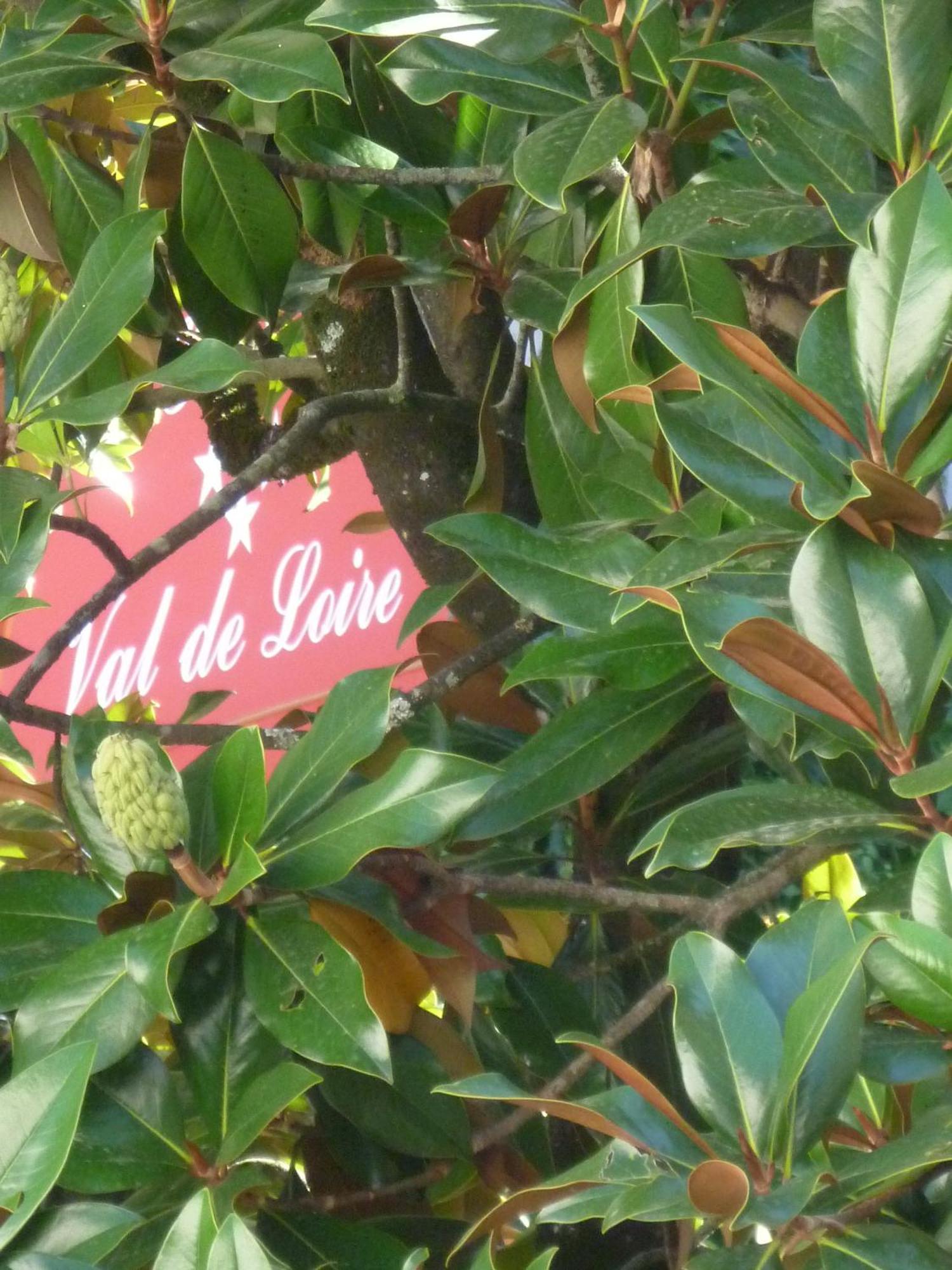 Hotel Val De Loire آزاي لو ريدو المظهر الخارجي الصورة